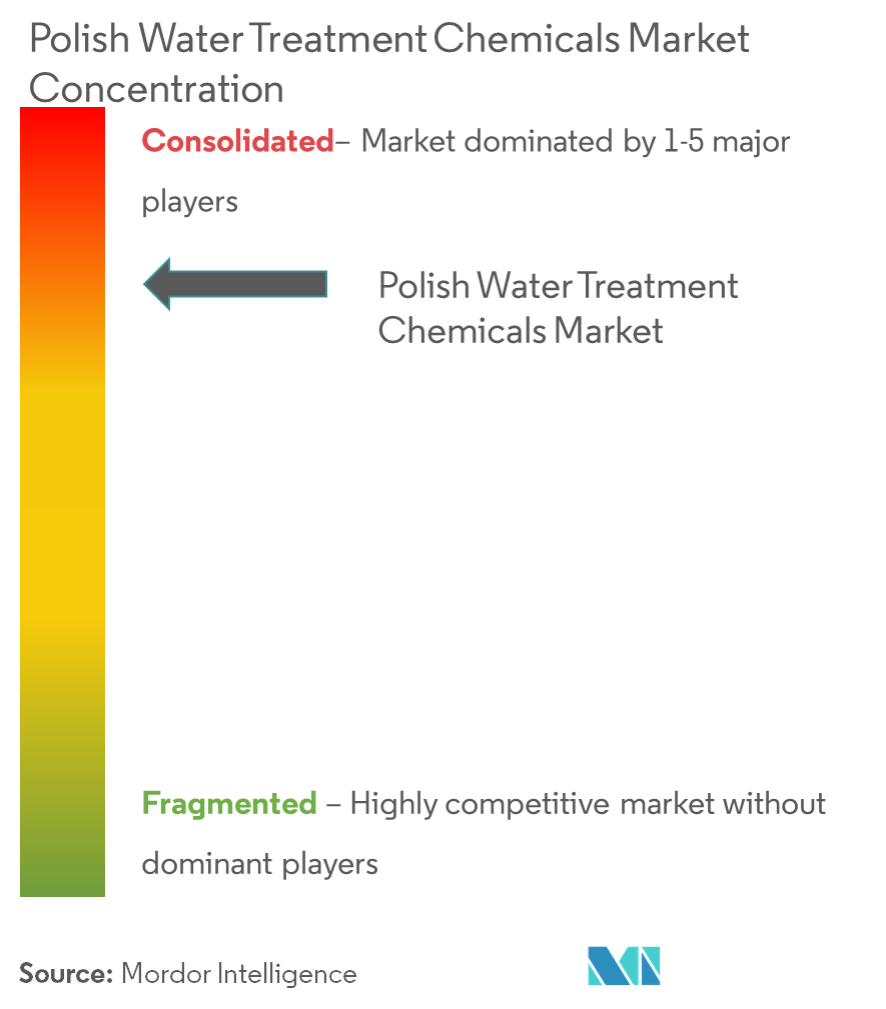 Productos químicos polacos para el tratamiento del aguaConcentración del Mercado